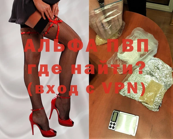 стаф Нефтекумск
