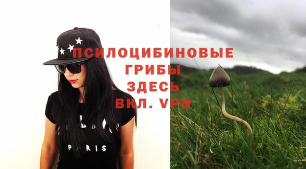 винт Новозыбков