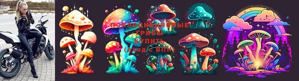 эйфоретик Нефтегорск
