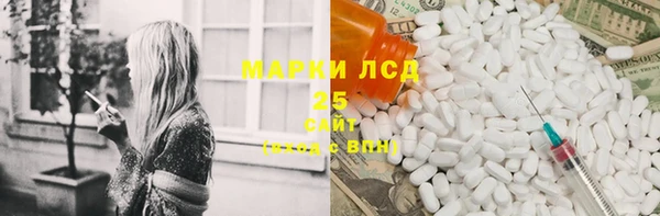 гидра Новодвинск