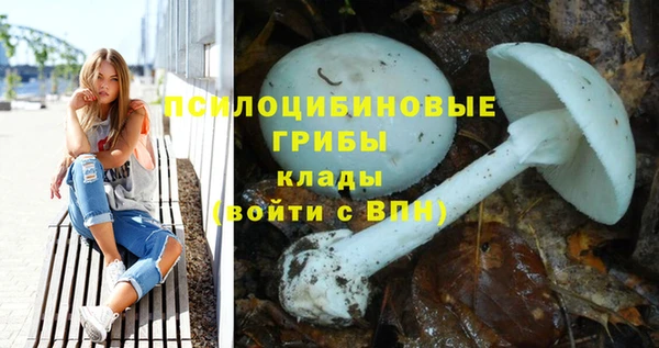 амфетамин Новокубанск