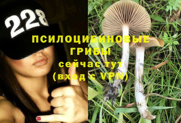 гидра Новодвинск