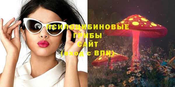 стаф Нефтекумск