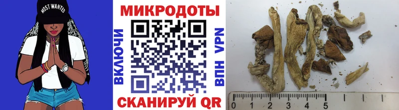shop формула  Полысаево  Псилоцибиновые грибы мицелий 