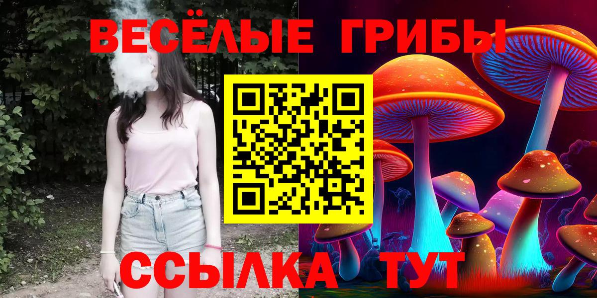 Полысаево  Псилоцибиновые грибы мицелий  Псилоцибиновые грибы ЛСД  Вход с VPN 