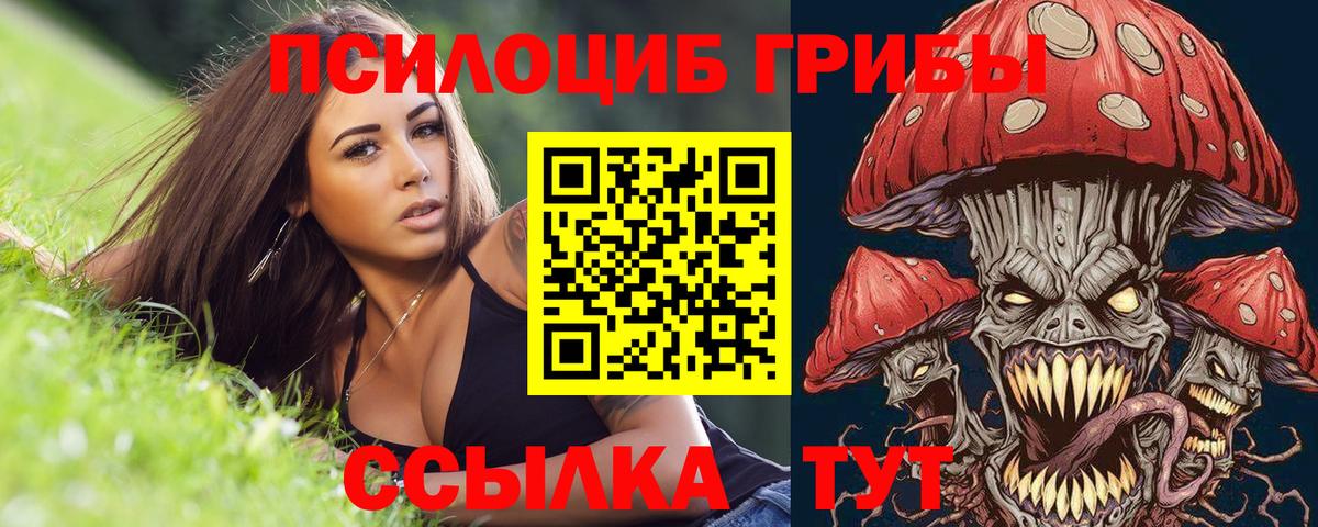 Галлюциногенные грибы Psilocybine cubensis  Полысаево 