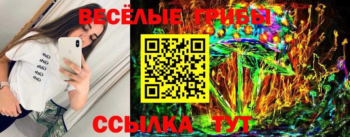 Псилоцибиновые грибы Psilocybe Полысаево